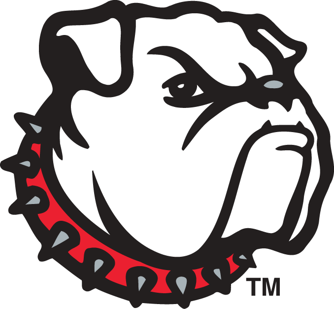 Georgia Bulldogs 1996-2000 Alternate Logo diy fabric transfer